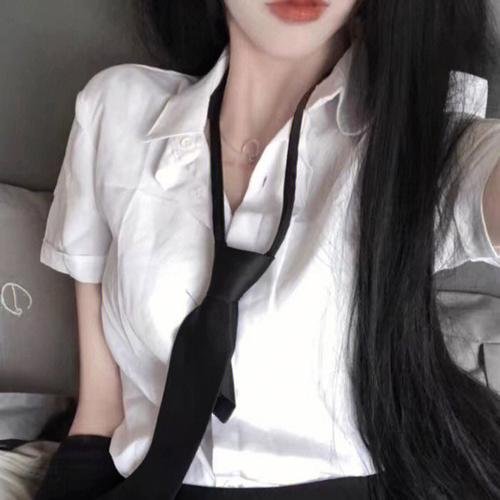 我的会长大人海报